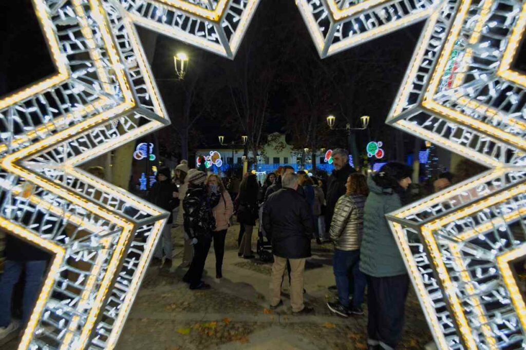 El Paseo Navideño en Argamasilla de Alba toma la Glorieta con árboles únicos hechos a mano y un mensaje común: Navidad para todos 29 paseonavideno navidad para todos 29