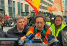 El campo español dice “basta” ante la UE: “No se nos puede pedir más sacrificios por menos”