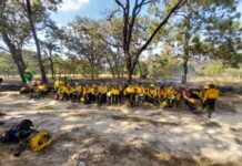 La Junta apuesta por el liderazgo femenino organizando y acogiendo el ‘Wtrex Quijota’, el primer programa de formación en incendios forestales celebrado en España