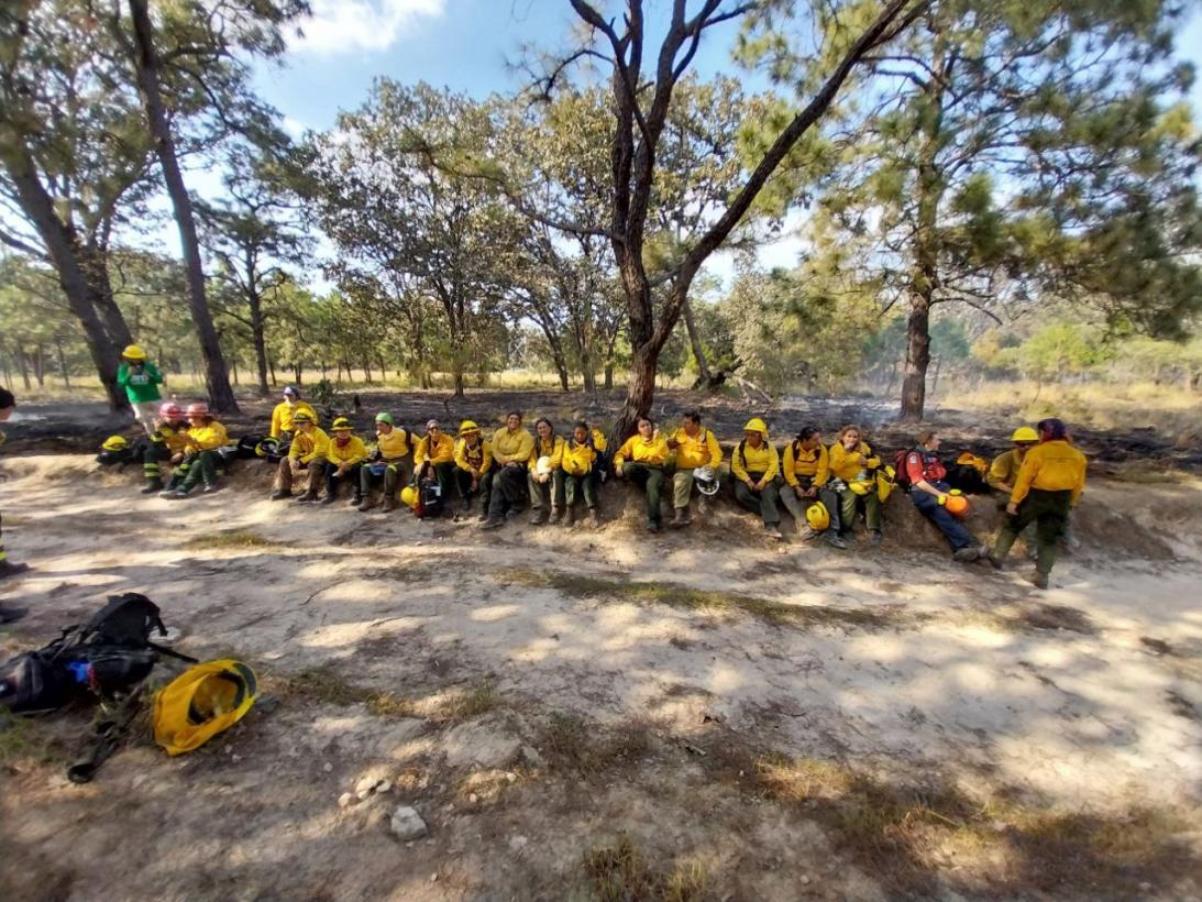 La Junta apuesta por el liderazgo femenino organizando y acogiendo el ‘Wtrex Quijota’, el primer programa de formación en incendios forestales celebrado en España