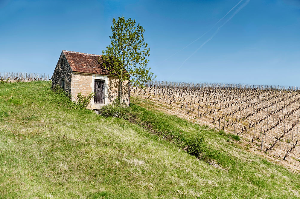 Unión de Agricultores y Ganaderos de Castilla-La Mancha reclama facilitar la contratación legal de inmigrantes y más medios contra los robos