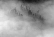 El tiempo en Castilla-La Mancha hoy, 20 de diciembre: nieblas a primera hora y chubascos puntuales (con aviso por nieve en la Serranía de Cuenca)