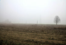 El tiempo en Castilla-La Mancha hoy, 15 de diciembre: chubascos, nieblas y máximas de hasta 16ºC