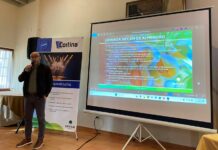 Agricultura resalta “la histórica” cosecha del almendro en la provincia de Albacete con casi 63.000 toneladas recolectadas