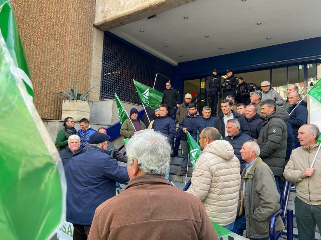 Ganaderos de toda la provincia convocados por ASAJA Ciudad Real se concentran para exigir soluciones urgentes por la lengua azul 6 asaja concentracion ganadera ciudad real 04