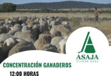 ASAJA Ciudad Real convoca una protesta el jueves 22 de enero por la gestión de la lengua azul ASAJA Ciudad Real convoca una protesta el jueves 22 de enero por la gestión de la lengua azul