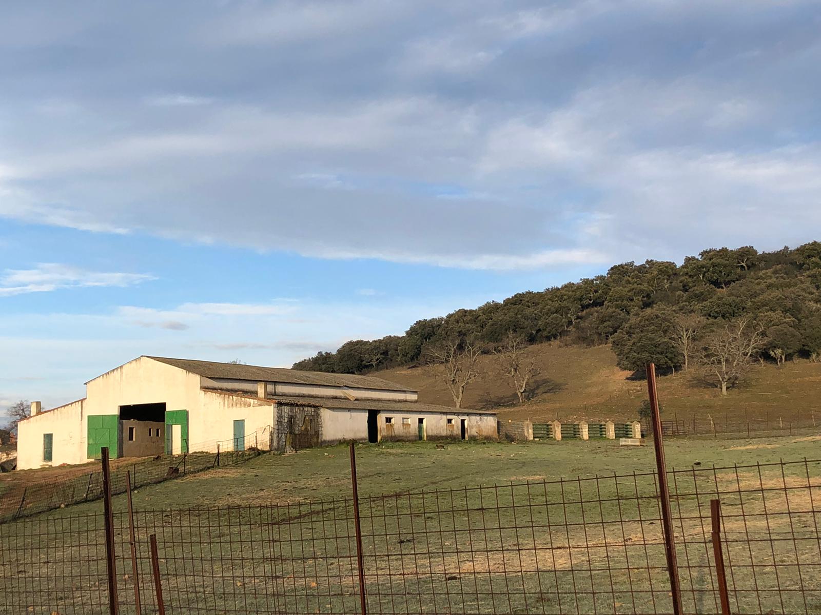 ASAJA alerta de robos en infraestructuras agropecuarias de la zona de Ciudad Real y exige un refuerzo de la vigilancia