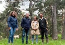 CLM convoca las ayudas para paliar los daños por ataques de necrófagas y de lobo con un incremento de las primas del 30 por ciento