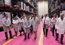 Desde el lunes se pueden solicitar las ayudas a la reestructuración del viñedo del Gobierno de Castilla-La Mancha que han beneficiado ya a 31.000 viticultores