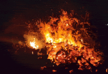 Publicadas las normas que regulan el encendido de las hogueras de San Antón en Tomelloso