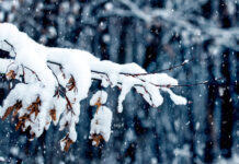 Borrasca Ingrid: avisos AEMET este sábado por nieve, viento, frío extremo y olas de hasta 9 metros