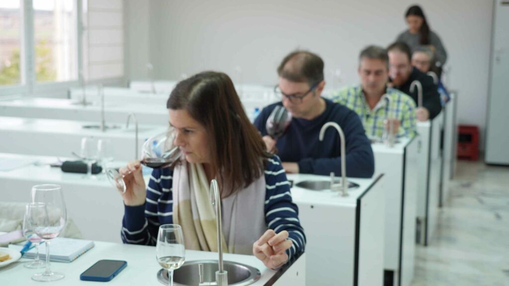 DO La Mancha arranca su XXXIX Concurso a la Calidad de sus vinos embotellados 2 concursocalidadembotellados