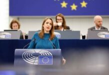 Cristina Maestre: “Mercosur no puede ser la excusa para tapar los recortes de la PAC”