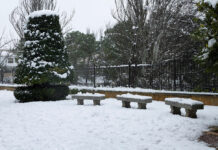 Castilla-La Mancha activa el METEOCAM, en fase de alerta por nevadas, en todas las provincias de la región