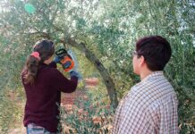 Tomelloso entre los destinos elegidos para la nueva edición del “Programa CULTIVA”