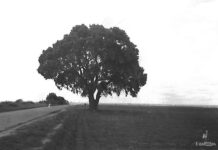 Un respiro de enero bajo La Carrasca de La Sandalia