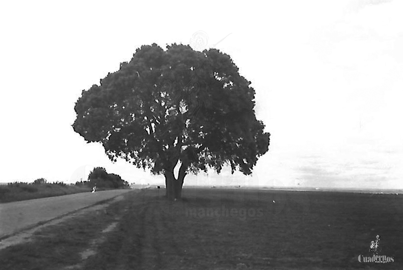 Un respiro de enero bajo La Carrasca de La Sandalia