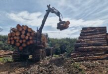 La Junta impulsa la gestión forestal pública y promueve la creación de siete nuevas mancomunidades para tener mayor competitividad en el sector