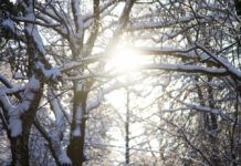 El tiempo en Castilla-La Mancha hoy 7 de enero de 2026: heladas a primera hora y sol al mediodía