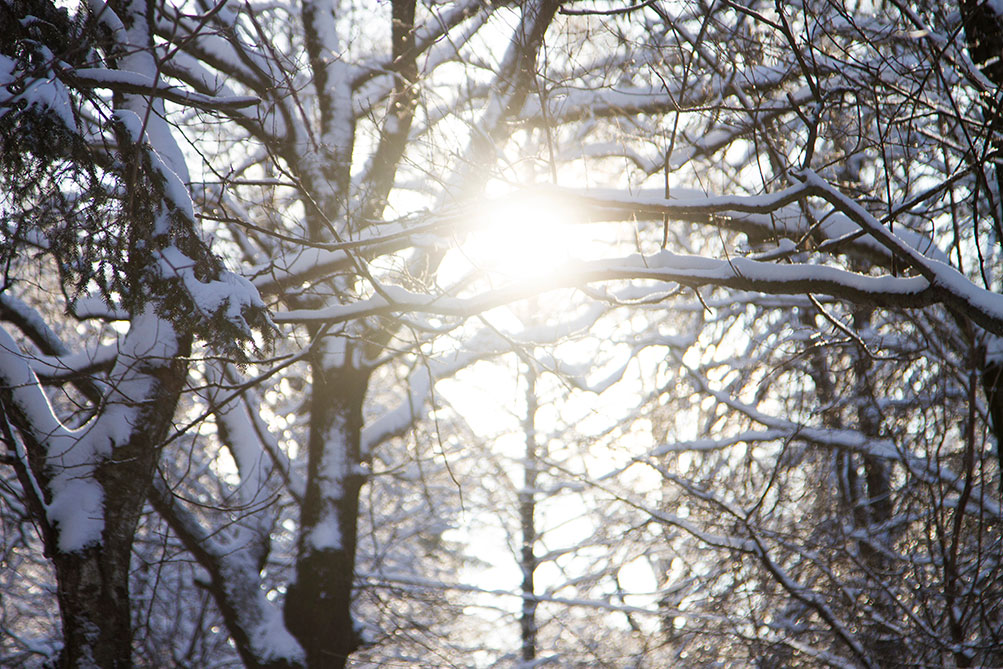 El tiempo en Castilla-La Mancha hoy 7 de enero de 2026: heladas a primera hora y sol al mediodía