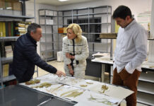 La Junta pone en valor el Herbario IRIAF de Albaladejito como referente en investigación y conservación de la flora de la región