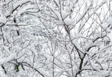 Nieve en gran parte de la España peninsular desde el viernes: la previsión de Meteored Nieve en gran parte de la España peninsular desde el viernes: la previsión de Meteored