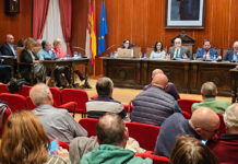 Nieva ratifica en el pleno que no habrá plantas de biometano ni macrogranjas en Manzanares