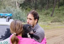 PACMA anuncia que el perro Boro perdido tras el accidente de Adamuz ha sido rescatado durante la mañana de este jueves por bomberos forestales de INFOCA