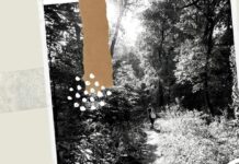 Porque duele cada silencio