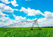 La Junta lanzará este año una nueva convocatoria de modernización de regadíos dotada con 18 millones de euros