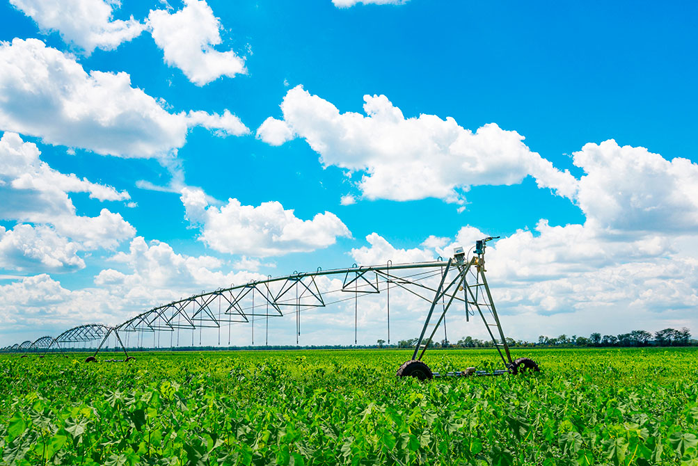 La Junta lanzará este año una nueva convocatoria de modernización de regadíos dotada con 18 millones de euros