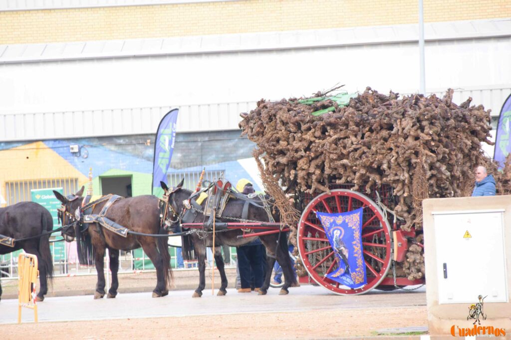 San Antón no se rinde: el concurso de remolques ya tiene ganador y el tapeo mantiene el pulso del día 32 san anton celebracion concurso remolque con cepas 02