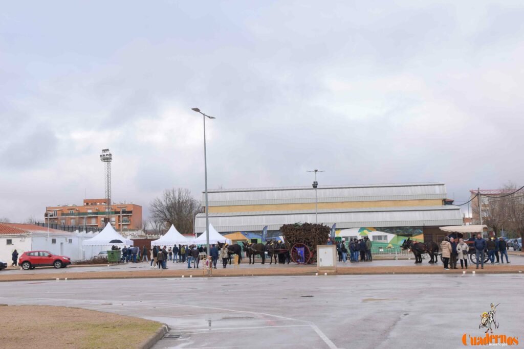 San Antón no se rinde: el concurso de remolques ya tiene ganador y el tapeo mantiene el pulso del día 31 san anton celebracion concurso remolque con cepas 03