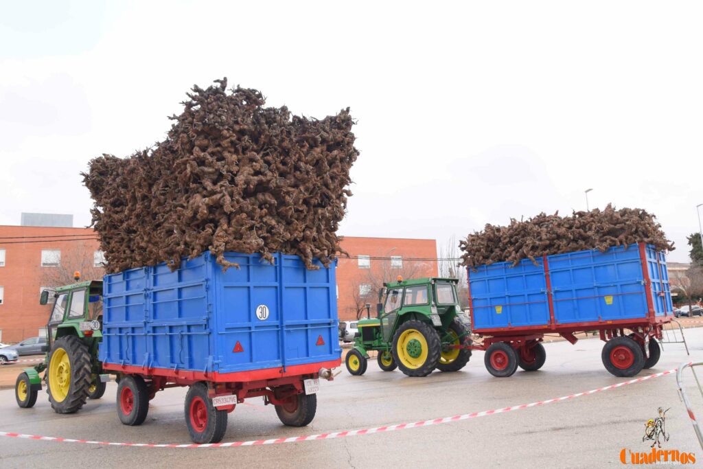 San Antón no se rinde: el concurso de remolques ya tiene ganador y el tapeo mantiene el pulso del día 30 san anton celebracion concurso remolque con cepas 04
