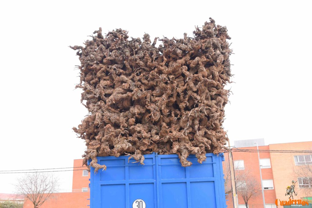 San Antón no se rinde: el concurso de remolques ya tiene ganador y el tapeo mantiene el pulso del día 29 san anton celebracion concurso remolque con cepas 05