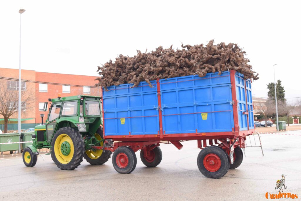 San Antón no se rinde: el concurso de remolques ya tiene ganador y el tapeo mantiene el pulso del día 27 san anton celebracion concurso remolque con cepas 07