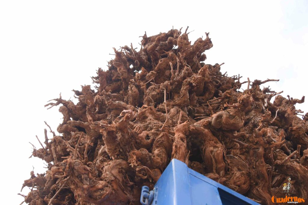 San Antón no se rinde: el concurso de remolques ya tiene ganador y el tapeo mantiene el pulso del día 26 san anton celebracion concurso remolque con cepas 08