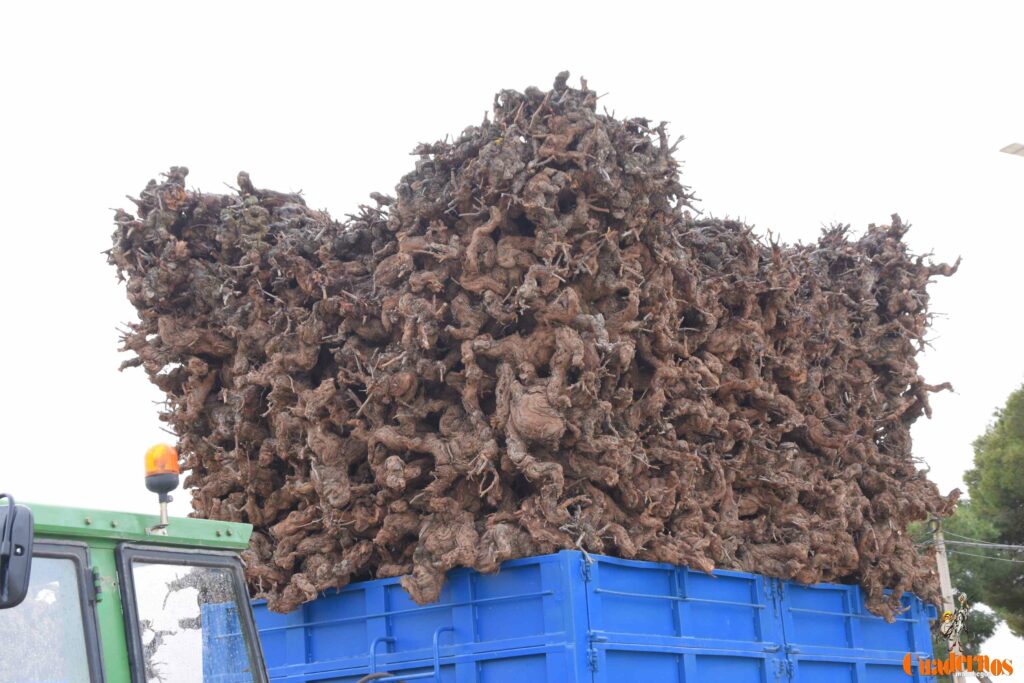 San Antón no se rinde: el concurso de remolques ya tiene ganador y el tapeo mantiene el pulso del día 24 san anton celebracion concurso remolque con cepas 10