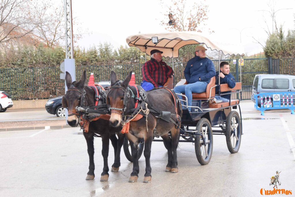 San Antón no se rinde: el concurso de remolques ya tiene ganador y el tapeo mantiene el pulso del día 21 san anton celebracion concurso remolque con cepas 13