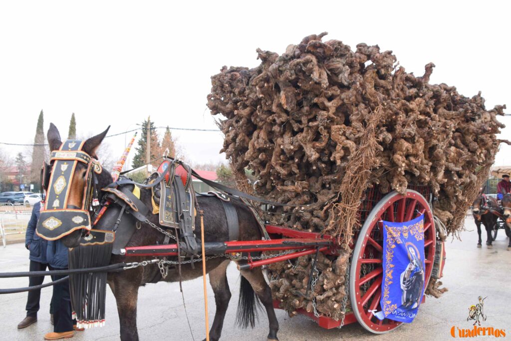 San Antón no se rinde: el concurso de remolques ya tiene ganador y el tapeo mantiene el pulso del día 20 san anton celebracion concurso remolque con cepas 14