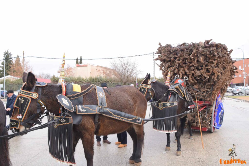 San Antón no se rinde: el concurso de remolques ya tiene ganador y el tapeo mantiene el pulso del día 19 san anton celebracion concurso remolque con cepas 15