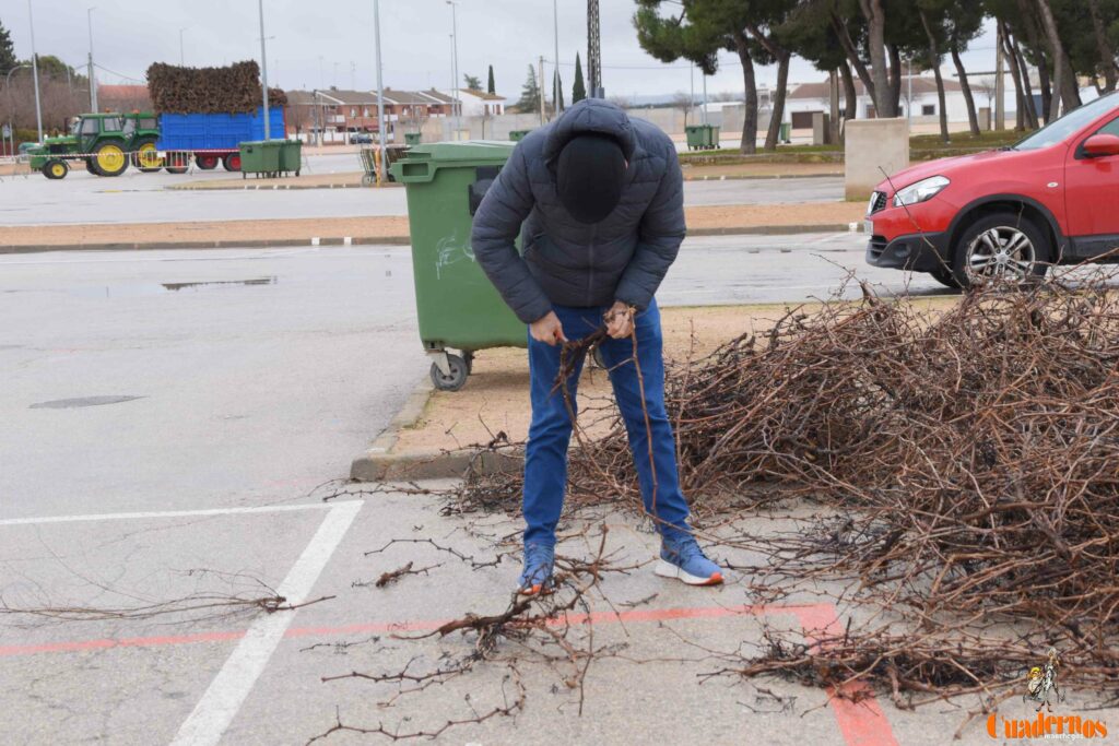 San Antón no se rinde: el concurso de remolques ya tiene ganador y el tapeo mantiene el pulso del día 14 san anton celebracion concurso remolque con cepas 20