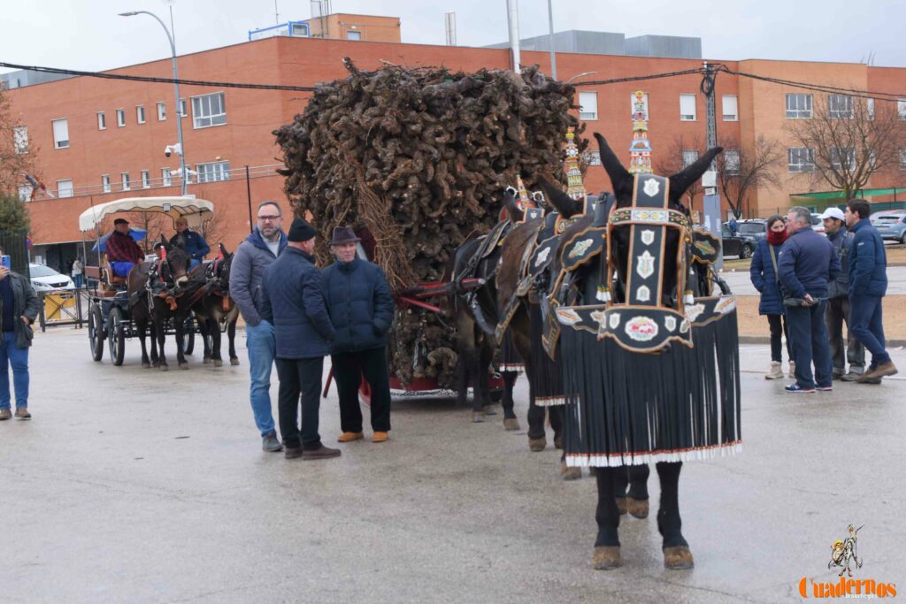 San Antón no se rinde: el concurso de remolques ya tiene ganador y el tapeo mantiene el pulso del día 13 san anton celebracion concurso remolque con cepas 21