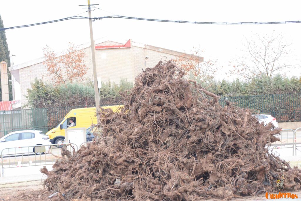 San Antón no se rinde: el concurso de remolques ya tiene ganador y el tapeo mantiene el pulso del día 12 san anton celebracion concurso remolque con cepas 22