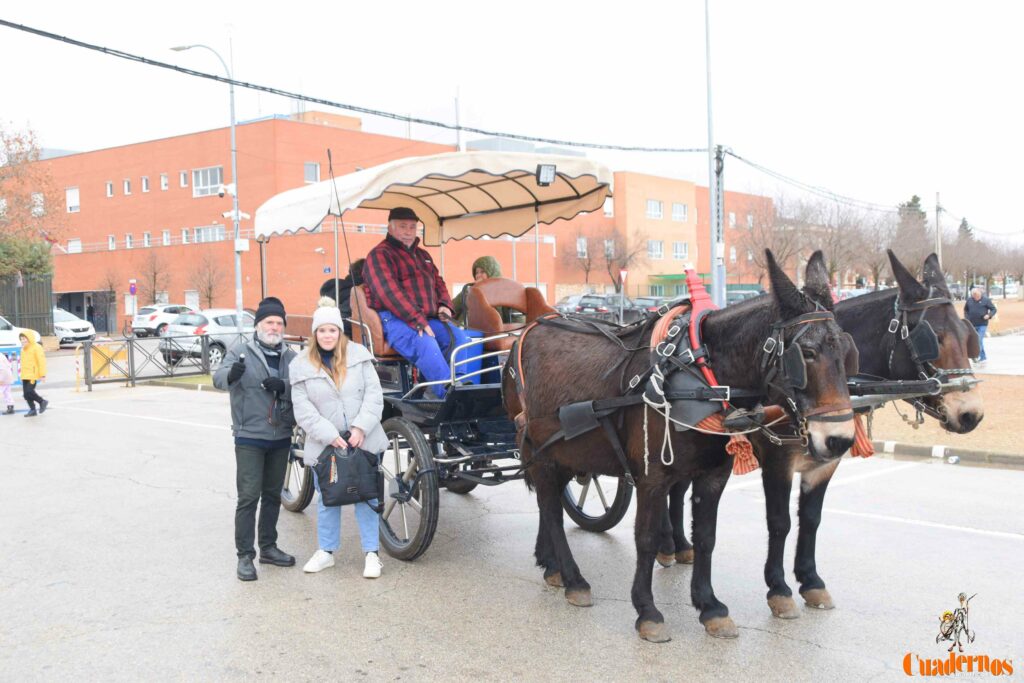 San Antón no se rinde: el concurso de remolques ya tiene ganador y el tapeo mantiene el pulso del día 7 san anton celebracion concurso remolque con cepas 27