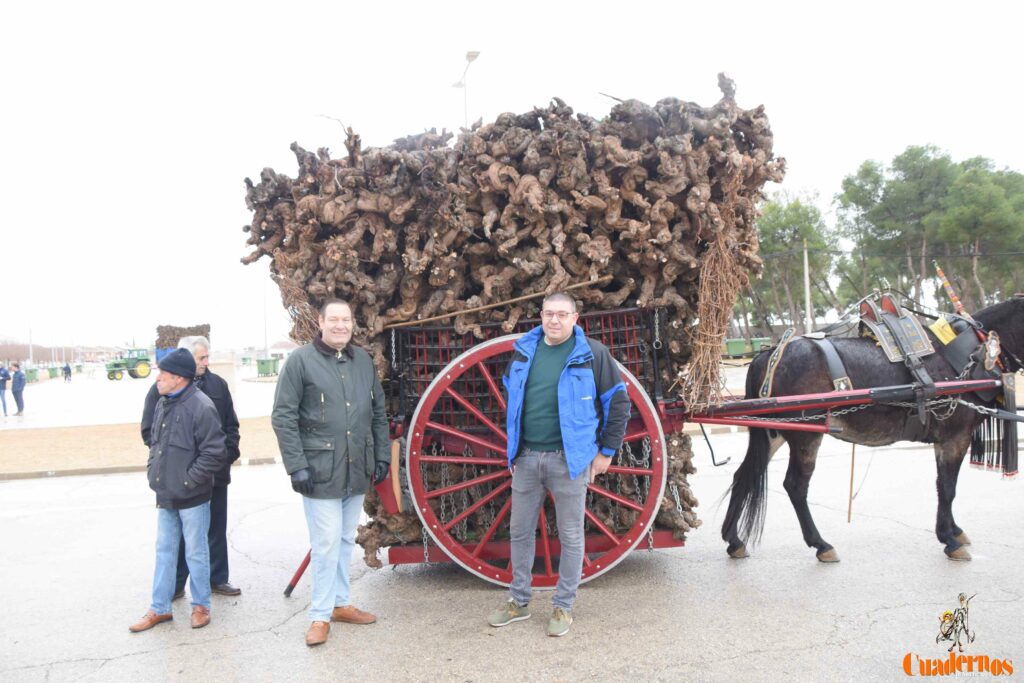 San Antón no se rinde: el concurso de remolques ya tiene ganador y el tapeo mantiene el pulso del día 5 san anton celebracion concurso remolque con cepas 29