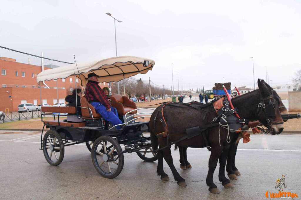 San Antón no se rinde: el concurso de remolques ya tiene ganador y el tapeo mantiene el pulso del día 4 san anton celebracion concurso remolque con cepas 30