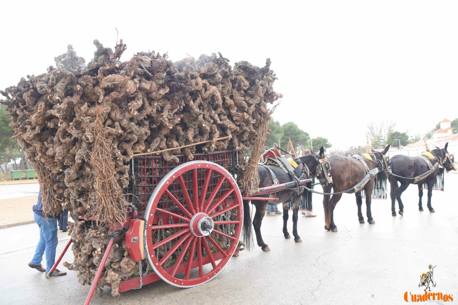 San Antón no se rinde: el concurso de remolques ya tiene ganador y el tapeo mantiene el pulso del día