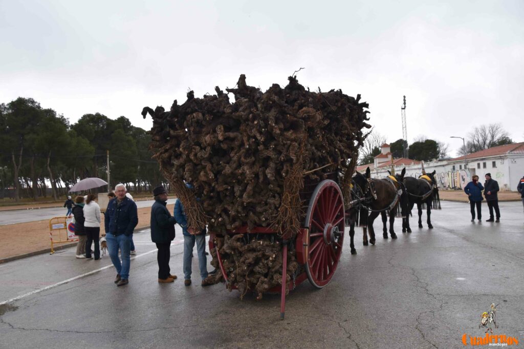 San Antón no se rinde: el concurso de remolques ya tiene ganador y el tapeo mantiene el pulso del día 2 san anton celebracion concurso remolque con cepas 32