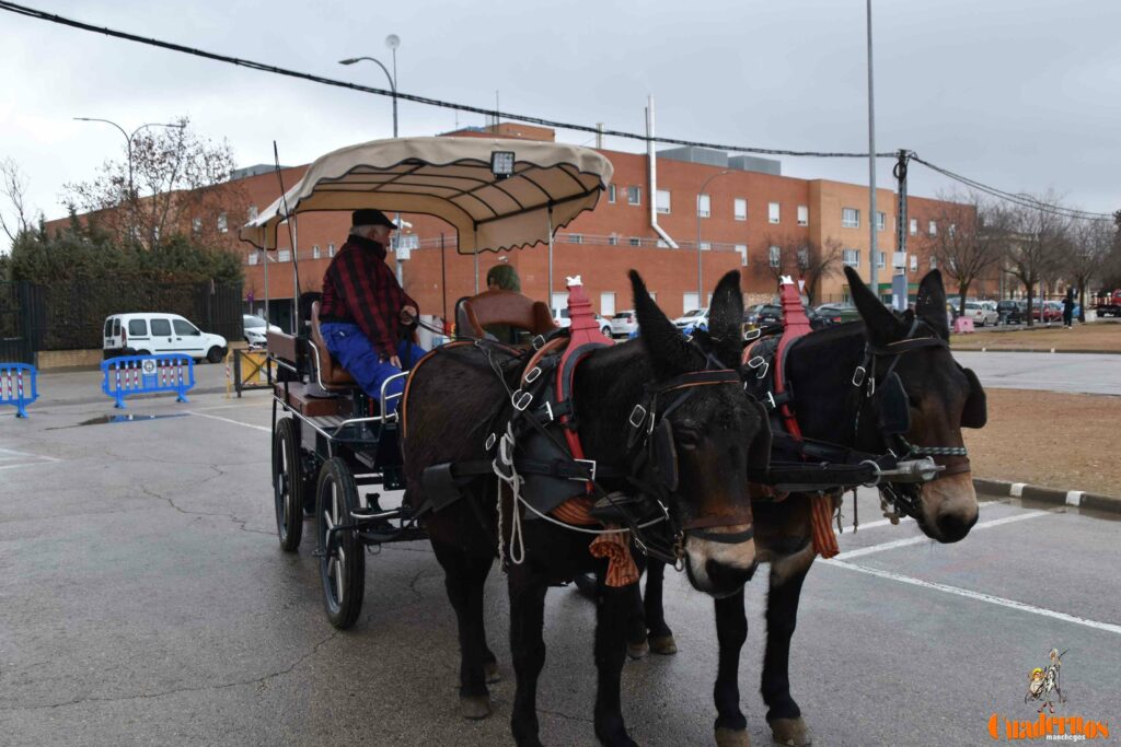 San Antón no se rinde: el concurso de remolques ya tiene ganador y el tapeo mantiene el pulso del día 1 san anton celebracion concurso remolque con cepas 33